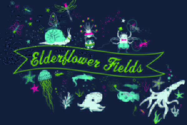 Elderflower T-shirt 2019
